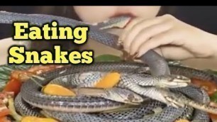 'A Chinese Girl eating Snake - how to cook Snakes-what Country people eat Snacks'