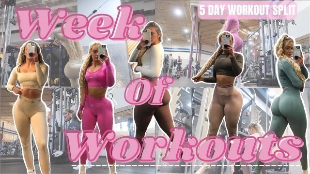 'WEEK OF WORKOUTS | 5 Day Workout Split MY WORKOUT ROUTINE upperbody & lower Body exercises for women'