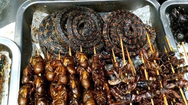 'EATING SNAKE, INSECTS, SCORPIONS AND COCKROACH FARMS |WEIRD FOODS IN CHINA'