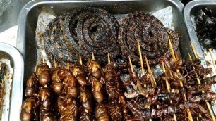 'EATING SNAKE, INSECTS, SCORPIONS AND COCKROACH FARMS |WEIRD FOODS IN CHINA'
