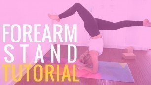 'Forearm Stand Tutorial | Yoga Forearm Stand for Beginners'