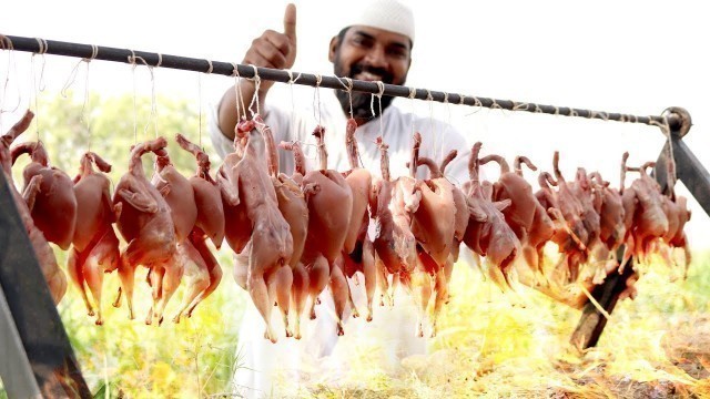 'Quail Fry Recipe||Angry birds fry || Roasted Angry Birds || Nawabs Kitchen'