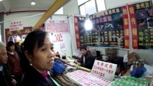 'Chinese food fair: snake, crocodile balm, cooking pan...'