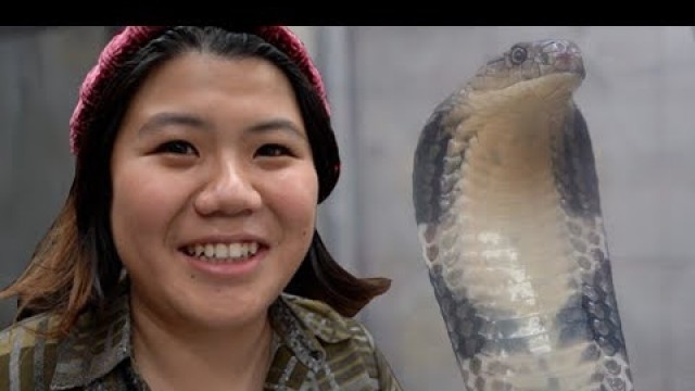 'HONG KONG | Snake Soup'