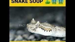 'Snake soup