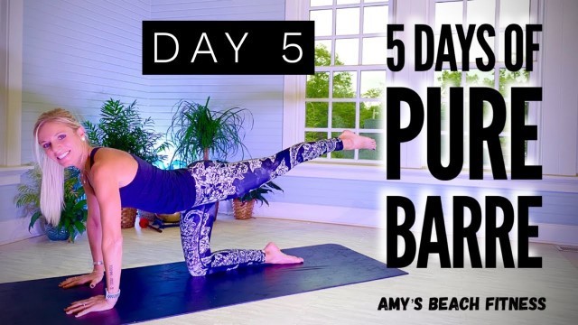 '5 Days of PURE BARRE Workouts - Day 5 - 30 MIN'