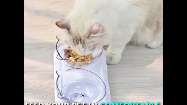 'Smart Orthopedic Anti-Vomit Cat Bowl'