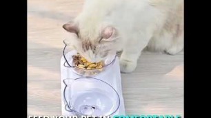 'Smart Orthopedic Anti-Vomit Cat Bowl'