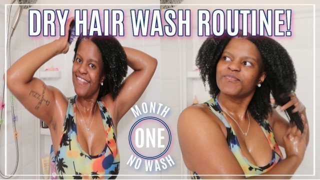 'MELANIN HAIRCARE TRIO ON DRY 4B/C HAIR | DRY NATURAL HAIR ROUTINE 2020'