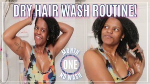 'MELANIN HAIRCARE TRIO ON DRY 4B/C HAIR | DRY NATURAL HAIR ROUTINE 2020'