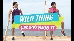 'Wild Thing | Zumba Fitness | Live Love Party'