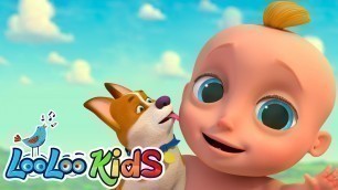 'Bingo + Chocolate  and more Sing Along Kids Songs - LooLoo Kids'