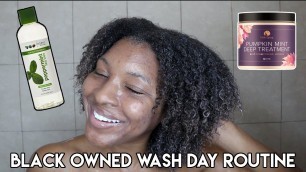 'FULL WASH DAY ROUTINE USING BLACK OWNED HAIR PRODUCTS | EDEN BODYWORKS & CURLS DYNASTY | KENSTHETIC'