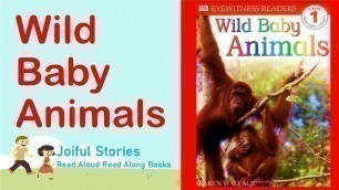 'Wild Baby Animals - Joiful Stories Read Aloud Read Along Books'