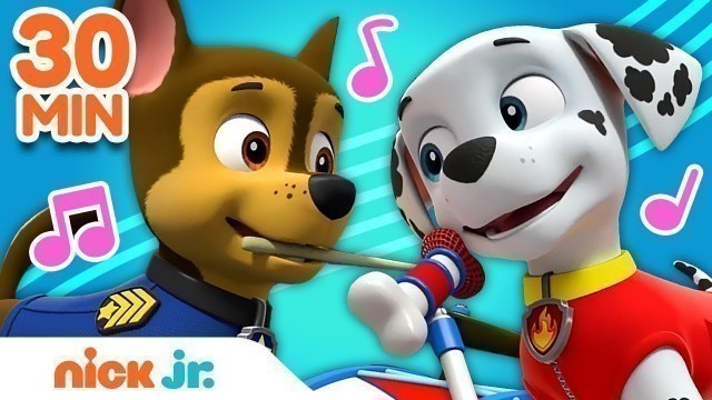'PAW Patrol 30 Minute Sing Along Song Compilation!