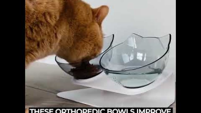 'Starcy Anti-Vomiting Orthopedic Cat Bowls'