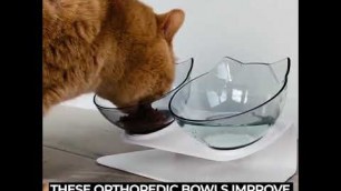 'Starcy Anti-Vomiting Orthopedic Cat Bowls'