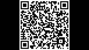 'The Top 100 Sexual Internet Searches (Via QR Codes)'