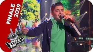 'Michael Bublé - Feeling Good (Davit) | Finale | The Voice Kids 2019 | SAT.1'