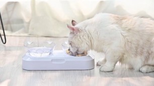 'Anti-vomiting Orthopedic Pet Bowl'