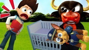 'Paw Patrol Miss Polly Had a Dolly Kids Song