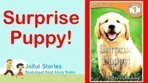 'Surprise Puppy! - Joiful Stories Read Aloud, Read Along Books'