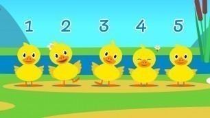 'Five Little Ducks Song | Kids Songs & Nursery Rhymes | Learn to Count the Little Ducks Smart Babies'
