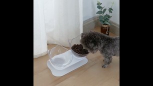 '15° Tilted Raised Anti Vomiting  Pet Feeder Bowl'