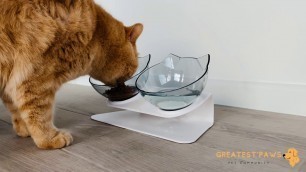 'Greatest Paws™ Anti-Vomiting Orthopedic Cat Bowl'