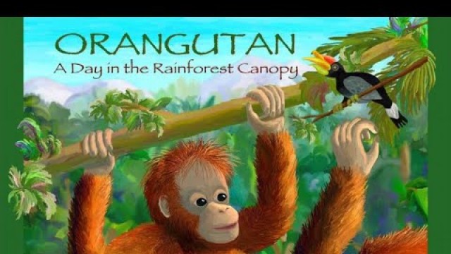 'Children\'s Read Along Books: “Orangutan A Day In The Rainforest Canopy” by Rita Goldner'