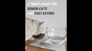 'PurrBowl™ Orthopedic Anti-Vomiting Cat Feeder'