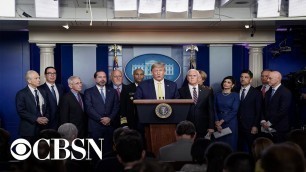 'Watch live: President Trump and Coronavirus Task Force hold briefing at the White House'