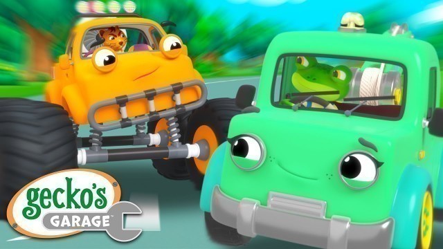 'Big Monster Truck Race!|Gecko\'s Garage|Funny Cartoon For Kids|Learning Videos For Toddlers'
