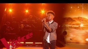 'Daniel Balavoine - SOS d\'un terrien en détresse  | Soan | The Voice Kids France 2019 | Finale'