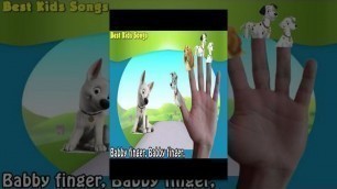 'Dogs - Finger Family Song Collection - Nursery Rhymes Dogs Finger Family for Kids'