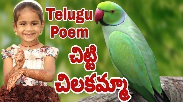 'Kiwipapa మాటల్లో చిట్టి చిలకమ్మా|Telugu Rhymes|Kids Rhymes|Kiwipapa Vasapitta|Telugu Short Poems'