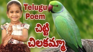'Kiwipapa మాటల్లో చిట్టి చిలకమ్మా|Telugu Rhymes|Kids Rhymes|Kiwipapa Vasapitta|Telugu Short Poems'