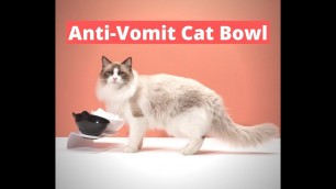 'The Best Anti-Vomit Cat Bowl'