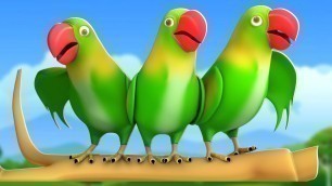 'Chitti Chilakamma - Parrots 3D Animation and Many More Telugu Rhymes For children with lyrics'