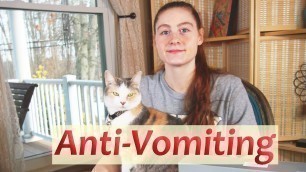 'Anti-Vomit Elevated Tilted Cat Food Bowls