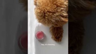 'the best vegan and cruelty-free lip mask 
