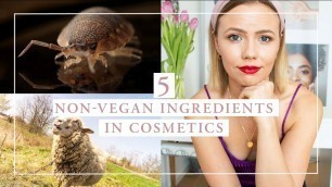'5 Non-Vegan Ingredients in Cosmetics | Kia-Charlotta'