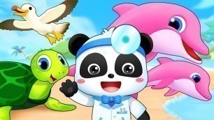 'Sea Animal Doctor Song | Doctor Cartoon, Ambulance, Police Car | Kids Songs | Kids Cartoon | BabyBus'