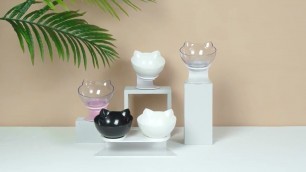 'Pawstivepurr™ Orthopedic & Anti-vomit Double Cat Feeder Non-slip Bowl'