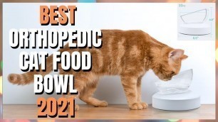 'Best Tilted Orthopedic Cat Food Bowl | Top 5 Elevated Cat Bowl | Cat Food Bowl Review'