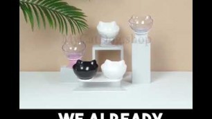 'Orthopedic Cat Bowl Anti Vomiting'