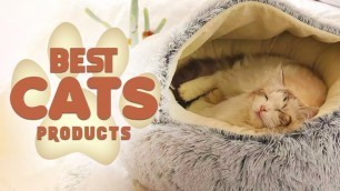 '8 Best Products For Cats To Take Good Care Of Them | Inspire Uplift Trending'