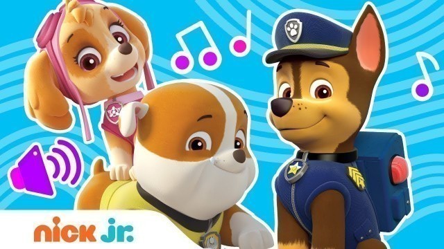 '\'Do You Know The PAW Patrol?\' Nursery Rhymes Sing Along Song | Nick Jr.'