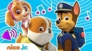 '\'Do You Know The PAW Patrol?\' Nursery Rhymes Sing Along Song | Nick Jr.'
