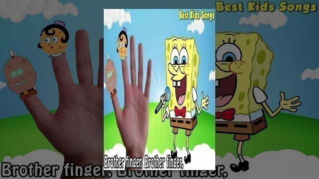 'SpongeBob - Finger Family Song Collection - Nursery Rhymes SpongeBob Finger Family for Kids'